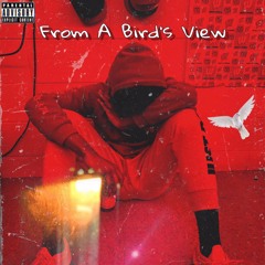 From a Bird's View (Prod. OthelloBeats)