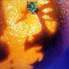 Phish - Tweezer (DMoss Remix) ft. Rick & Morty