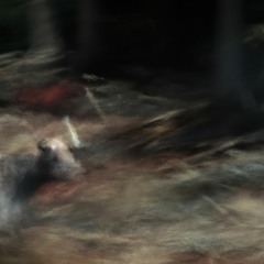 courtesy of trusting