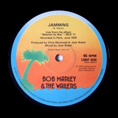 Bob Marley, Fisher - Jamming (YinYang Edit)