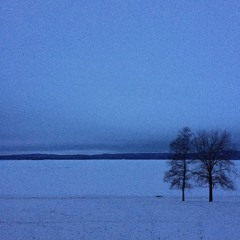 snö, sken, minne [2023] - solo bass flute