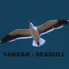 YANXAN - SEAGULL / თოლია