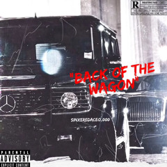 SinDaCEO- Back of the Wagon