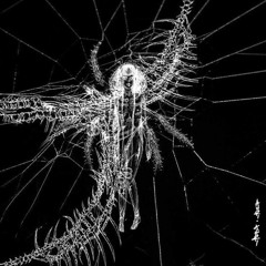 деньги бабки speedup