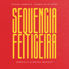 FREE Pedro Sampaio, Dener Delatorre - Sequencia Feiticeira (Marcelo Almeida Mashup)