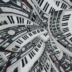 música para observar pássaros