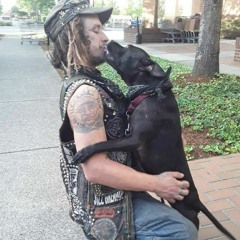 Has Anybody Seen My Dog- LIVE