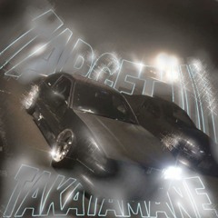 TAKATAMANE - TARGET 3