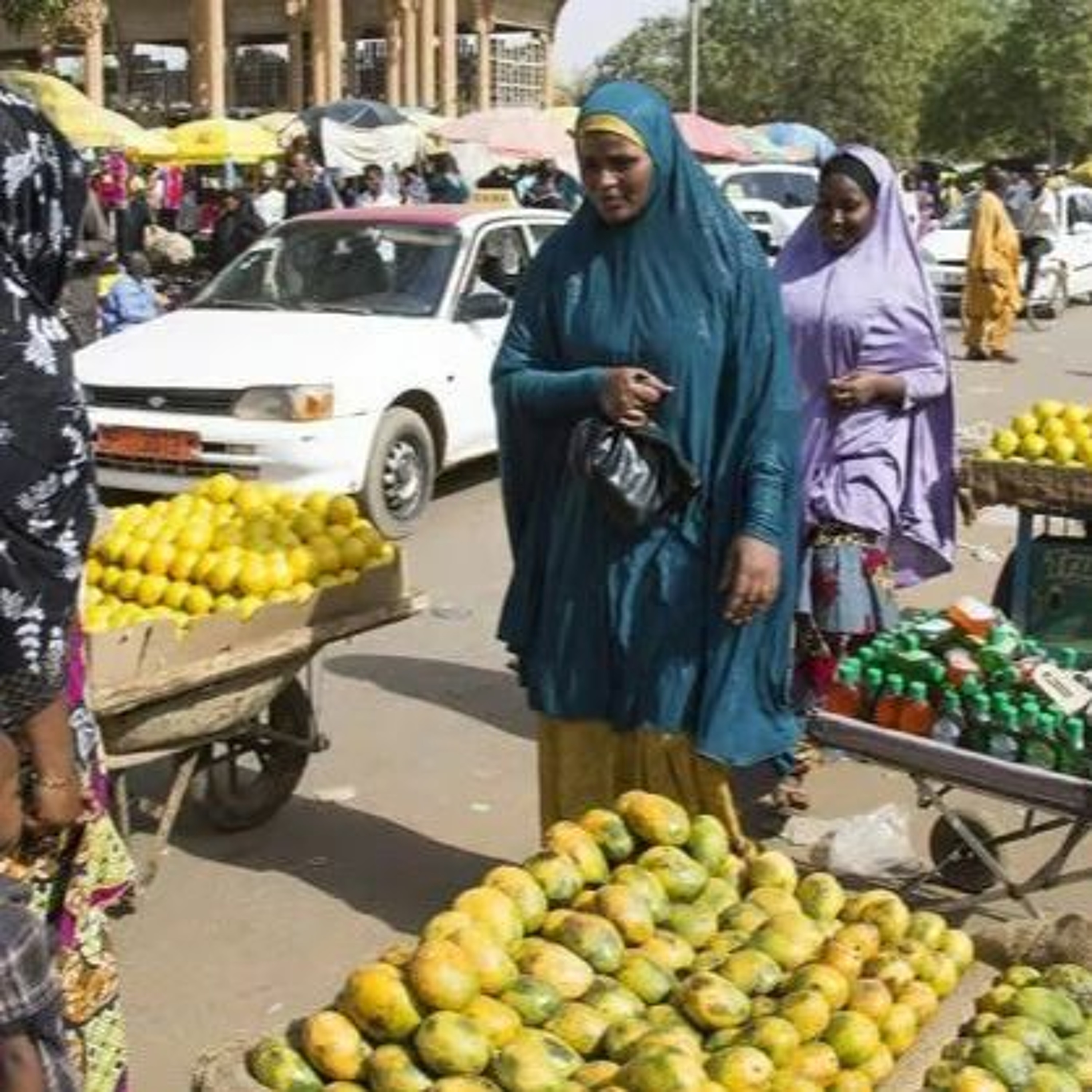 Niger's economy plummets: Moody's downgrades rating into junk episode artwork