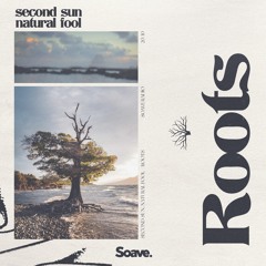Second Sun & Natural Fool - Roots