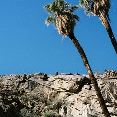 🌴