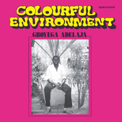 Gboyega Adelaja - Colourful Environment ( HOLDTight Disco rework )