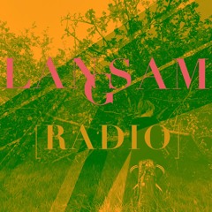 LANGSAM [RADIO] Track IDs #6