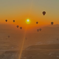 H.S. | O.H.V.1 (Organic House Mix)