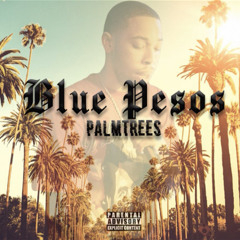 Blue Pesos - Palm Trees