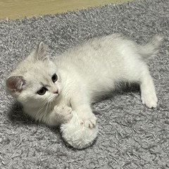 차곡차곡