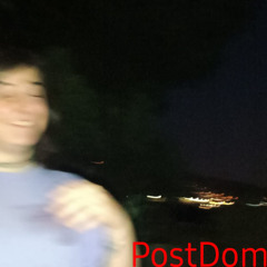 Apuesto en perros que pierden