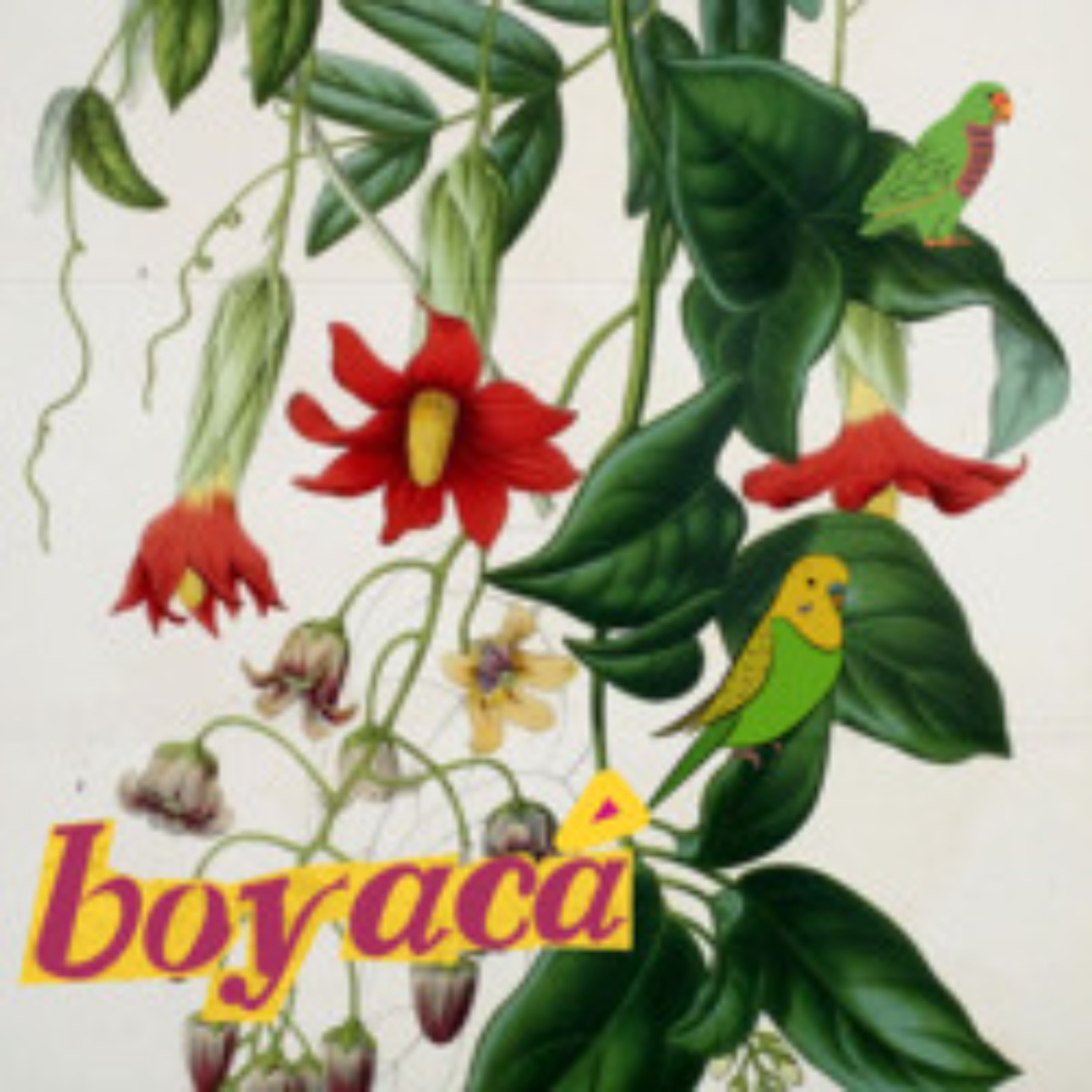 Paisajes Sonoros Archivo de Prensa - Boyacá episode artwork