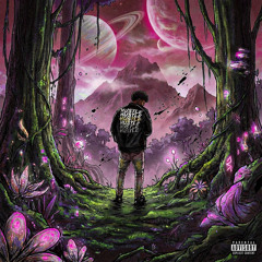 Took ha aht (prod. William Braunx)