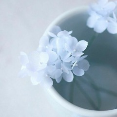 Tưu Chi Linh - Giang Nam Thành // 湫之灵