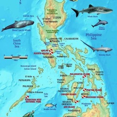 get [PDF] Download Philippines Dive Map & Coral Reef Creatures Guide Franko Maps Laminated Fish