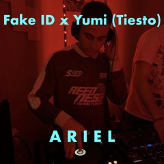 Fake ID X Yumi (Tiesto)