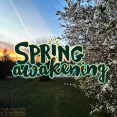 Dynamic Illusion - Spring Awakening (2023) [Promo Mix]