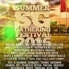 Hazard w/ Skibadee & Shabba @ Summer Gathering 2015
