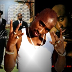 2pac - How Do You Want It X 213 - Groupie Love