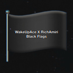 Black Flag Feat. Rich Amiri(Prod. Spill Wonder Space)