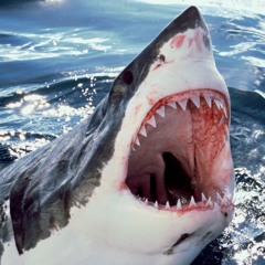 Time Will Tell INSTRUMENTAL