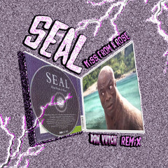 Seal - Kiss from a Rose (Don Vutch remix)