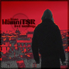 HANNITSR w/S4MO