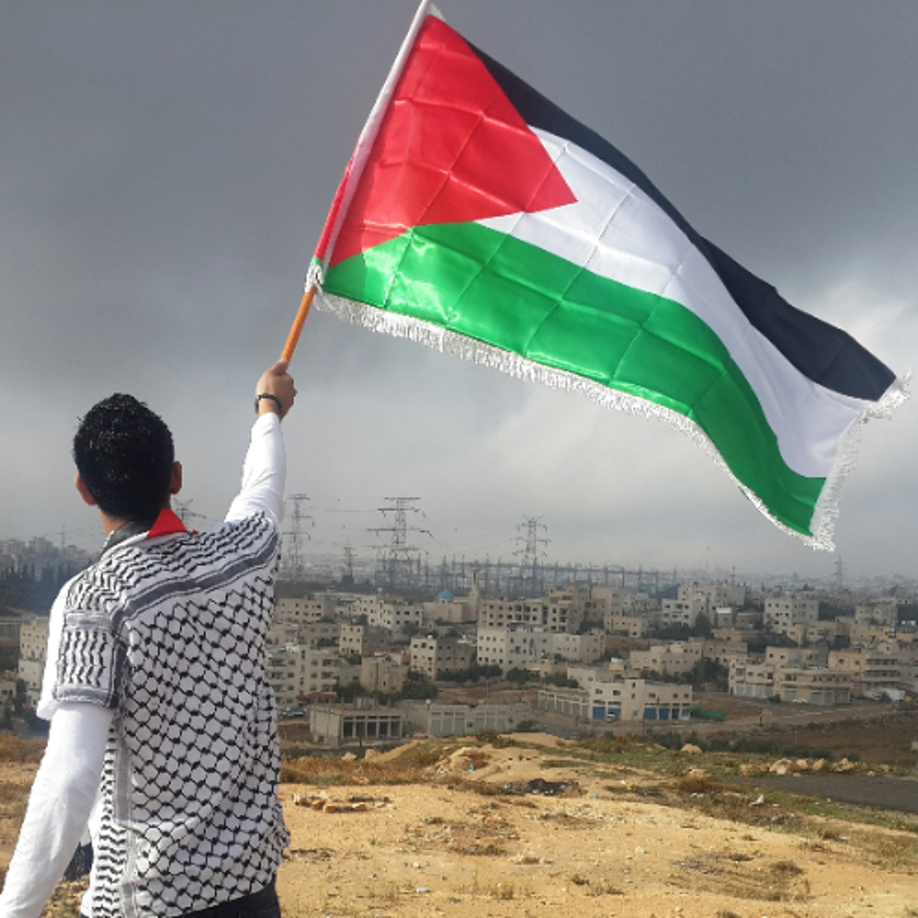 Propaganda and the Palestinian Cause