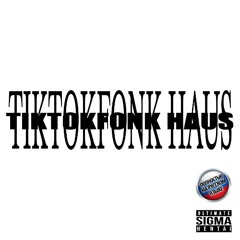 1. TIKTOKFONK HAUS, TSUNAMIBITZ - gojo mojo