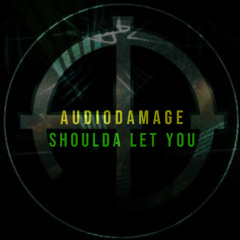 AudioDamage - Shoulda Let You