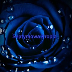 Septymowa kropla