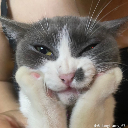 Em của ngày hôm qua - HUY PT REMIX DEMO