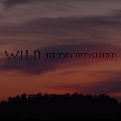 Wild Bedfordshire