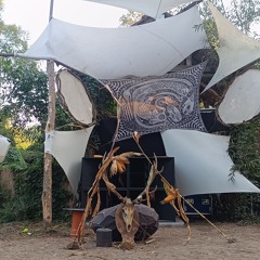 Hybrid Set @ Zenovoid Gathering