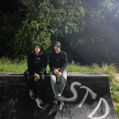 stoneduck x toto - lustro
