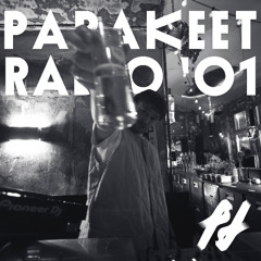 PARAKEET RADIO '01 by omama