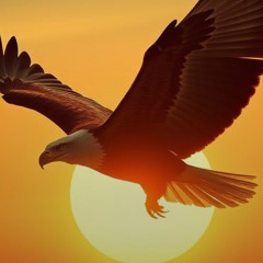 eagle's-return.mp3