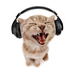 CUT OFF YOUR HANDS - Che (Prod. t3tra)