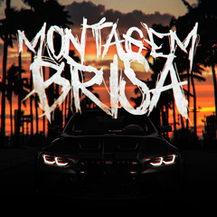 MONTAGEM BRISA (Slowed)