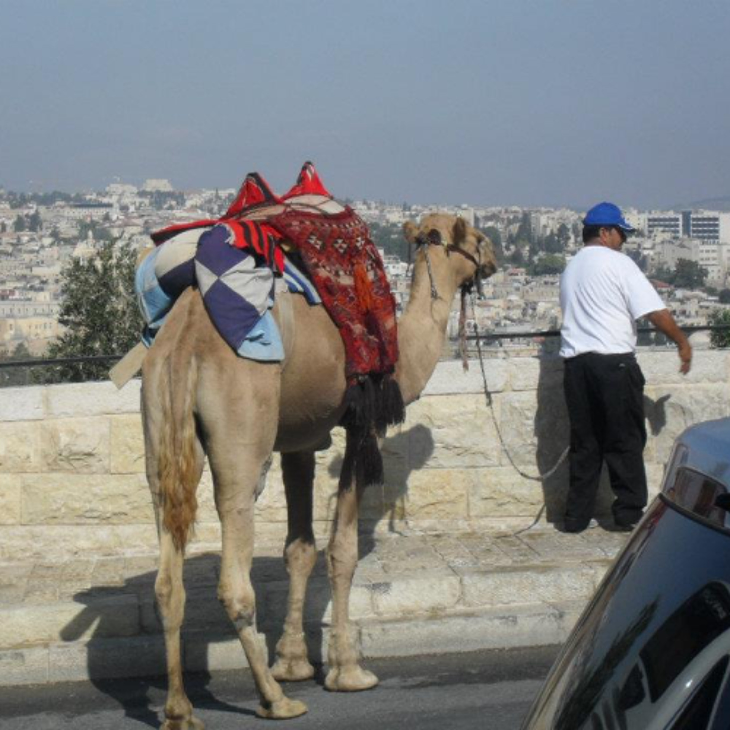 Maybe do I get help to find Jewish documentations ? episode artwork