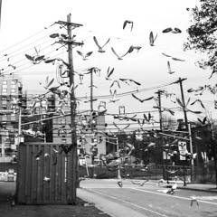 Absconded With the Bag, November 2025