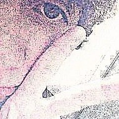 анжелинаджолли