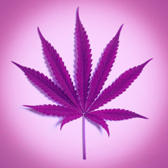 I Want To Get High (Mashup)
