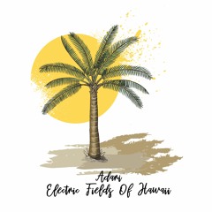 Adarí - Electric Fields Of Hawaii [trndmsk]